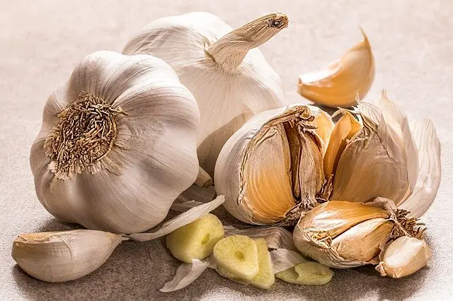How to Freeze Garlic? Big Guide 1 How to Freeze Garlic? Big Guide