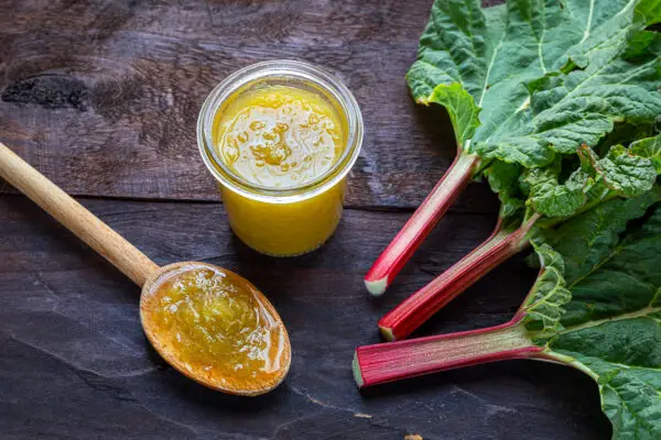 Can You Freeze Rhubarb Without Cooking It 2 Can You Freeze Rhubarb Without Cooking It